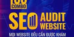 Combo SEO Audit Website
