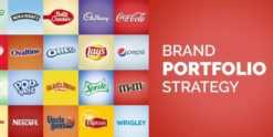 share khoá học brand portfolio strategy